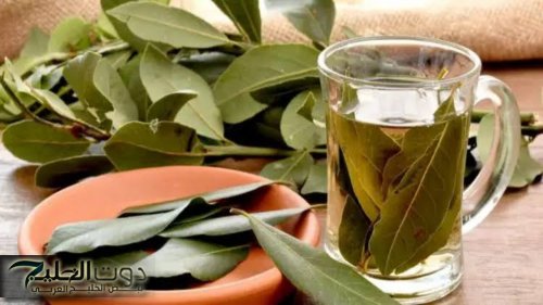 "بطنك هتكون مسطحه مش هتلاقيها!!"...سيجعل بطنك مسطحا وشعرك قوى وكثيف خالي من الشيب ووجهك أبيض ومشدود كالقمر وفي 3 أيام فقط!!؟