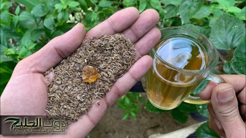 علاج نهائي يخلصك من السعال الحاد والجاف الكحة البلغم الرشح من أول استعمال فقط تناول مغلي من هذه البذور