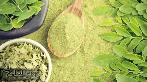 "حيرت العالم والعلماء" .. عشبة ربانية بمثابة كنز ثمين تعالج 40 مرض وتعدل مستوى السكري في الدم وتقوي الذاكرة وتحميك من الزهايمر .. مفعولها سحري وهتحل كل مشاكلك!!