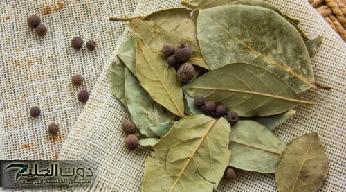 "خلي شبابك يرجع تاني".. ورق الغار الحل السحري للشيخوخة حتى لو كنت في السبعين | جربها وهتدعيلي!!