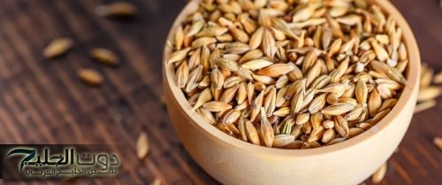 "لو مش بتحبه هتحبه".. اليك فوائد مشروب الشعير وعلاقته بالكلي وصحة الكلي.. فوايده خليتني مداوم عليه!!