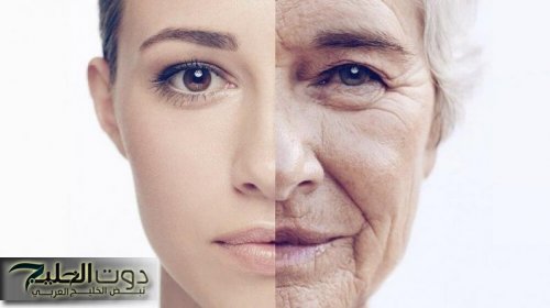 لو كلتيها هتصغري 20 سنة!! فاكهة هترجعي بيها شباب تاني وهتقلل من علامات الشيخوخة والتقدم في السن يا ترى ايه هي؟!!