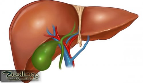 "الأطباء يحذرون" 5 علامات تظهر في جسم الإنسان تدل على تلف الكبد ومخاطر الفشل الكبدي