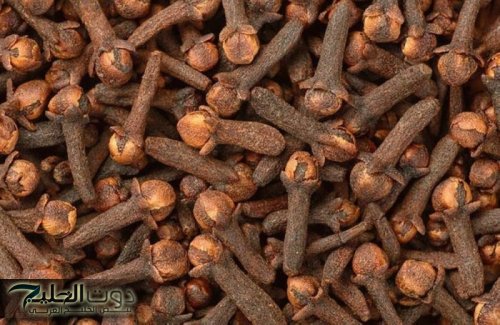 "حطي قرنفل ياست البنات هتعيشي في تبات ونبات"!!!...شابة يمنية واستخدام القرنفل تجربة غريبة بمفعول مذهل....جربيها كل اصحابك هتسالك عليها!!!