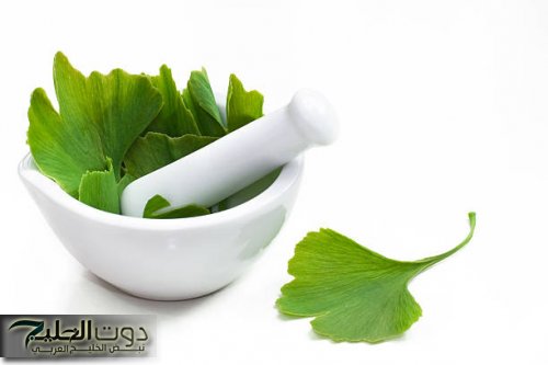 عشبة برائحة الجنة تعيد الشباب وتقوي الذاكرة بفعالية مذهلة خلال أيام!