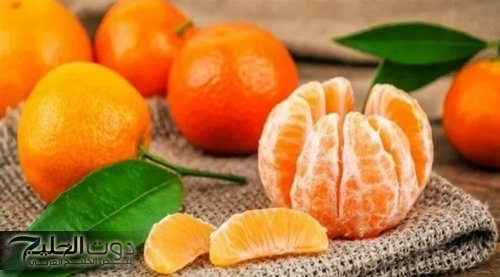 كارثة بكل المقاييس !! خبيرة تغذية روسية شهيرة تحذر من خطورة الإكثار من تناول فاكهة اليوسفي.. وتكشف عن الكمية المسموح بتناولها في اليوم!!