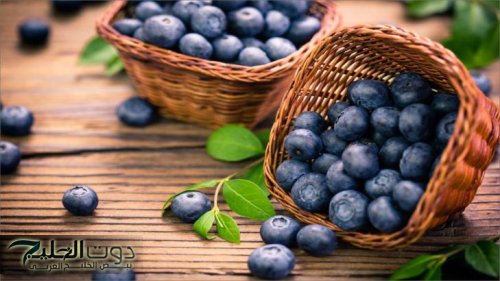 "بسعر التراب ولكن مفعولها جبار" .. فاكهة سحرية تزرع في مصر تمنع الشيخوخة المبكره وتتحكم في مستوي السكر في الدم وتعتبر الحل الأمثل لـ"ضغط الدم"!