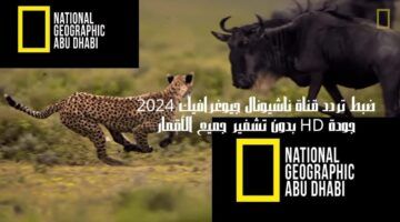 تردد قناة ناشيونال جيوغرافيك 2024 الجديد على نايل سات وعرب سات واستكشف عالم الطبيعة