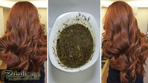 «وداعا للشعر الأبيض نهائياً».. عشبة سحرية لتلوين الشعر والقضاء على الشيب نهائيا من الجذور وبدون اى صبغات كيماوية.. استرجعي شبابك وابهريهم!!
