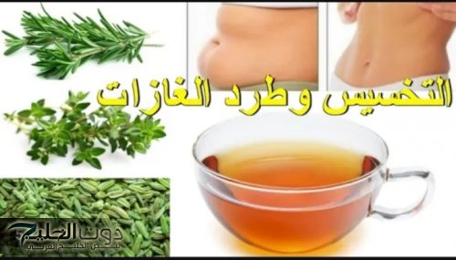 إن كنت محتار وللصحة مختار روح هات العشبة دي من عند العطار!!.. عشبة الزاز لعلاج مشكلات صحية عديدة ومفعولها مضمون.. استخدمها و خلي صحتك في المضمون!!