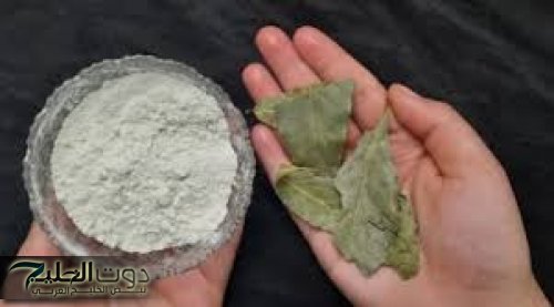 إليكي طريقة عمل ماسك ورق الغار والنشا لتفتيح البشرة والتخلص من علامات التقدم في السن .. هترجعي شباب !!
