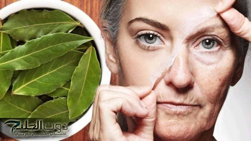 النضارة في خطوتين.. طريقة عمل قناع ورق الغار والنشا لتفتيح البشرة وزيادة رونقها هتبقي مشرقة دايمًا