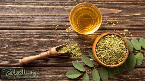 "كنز رباني مبيخلصش"... 5 اهميات سحرية عند شرب شاي المورينجا يغنيك عن الذهاب للدكتور... طريقة الإستخدام!!