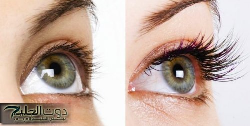 «ولا مسكرة شيجلام هتخلي رموشك زي الغزال..!!» طريقة عمل الماسكرا في المنزل بمكونات طبيعية لتطويل وتقوية الرموش بدون اي مواد كيميائية.. جربيها وشوفي جمالك..!