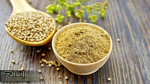 تعرفي على فوائد الكزبرة لصحة الجسم والجمال