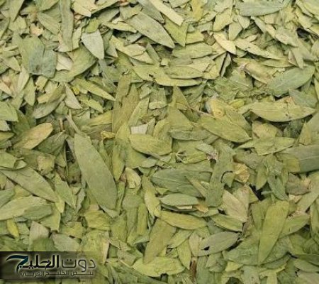 "بدون اي عمليات جراحية!"...نبتة سحرية تنظف القولون من البراز المتحجر في دقائق معدودة بإعجاز رباني في كل دار عربي ودون الحاجة للطبيب!!!؟