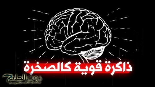 "ودع النسيان".. حل سحري لتحسين الذاكرة وتعزيز الذكاء الخارق... تخلص من النسيان إلى الأبد!