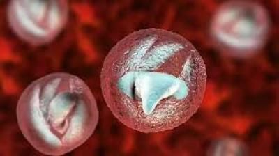 طفيل غامض يجتاح بريطانيا