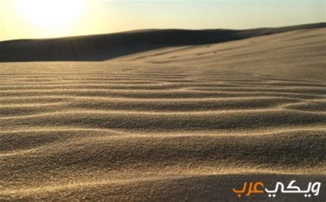 تفسير الرمل في الحلم للبنت العزباء رؤيا رمال شاطئ البحر