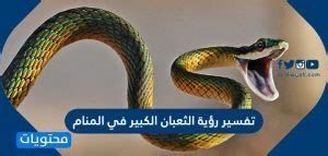 تفسير الثعبان في المنام