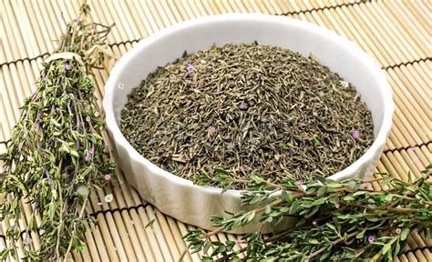 تفسير الزعتر في الحلم رؤية زعتر في المنام