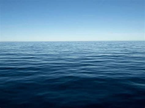 تفسير الرائحة الطيبة في الحلم شم العطور الطيبه في المنام