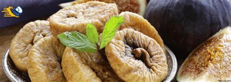 تفسير التين في الحلم رؤية التين في المنام