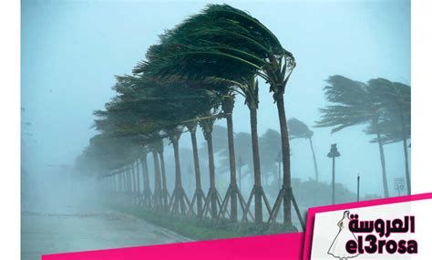 تفسير الرياح في الحلم رؤية الرياح في المنام