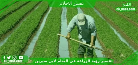 تفسير الزراعه في المنام رؤيا زراعه في الحلم