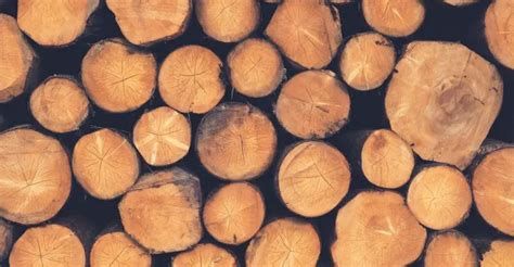 تفسير الخشب في الحلم لابن سيرين