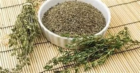 تفسير الزعتر في الحلم رؤية زعتر في المنام