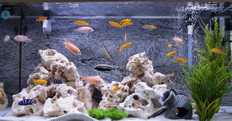 تفسير الحوض في الحلم رؤية حوض في المنام