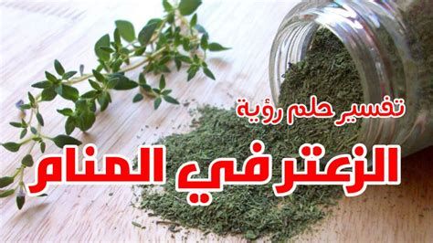 تفسير الزعتر في الحلم رؤية زعتر في المنام