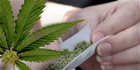 تفسير الحشيش في الحلم رؤيا الحشيشه في المنام