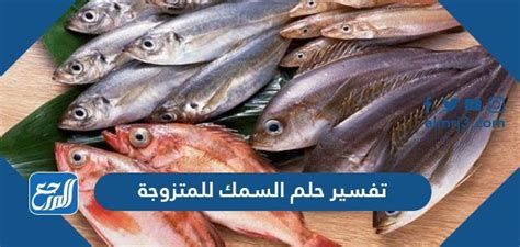 تفسير السمك في الحلم و اكل السمك في المنام لابن سيرين