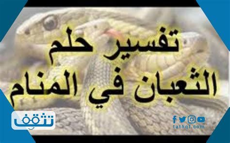تفسير الثعلب في المنام لابن سيرين