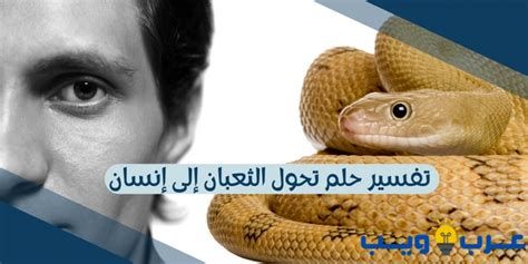 تفسير الثعلب في المنام لابن سيرين