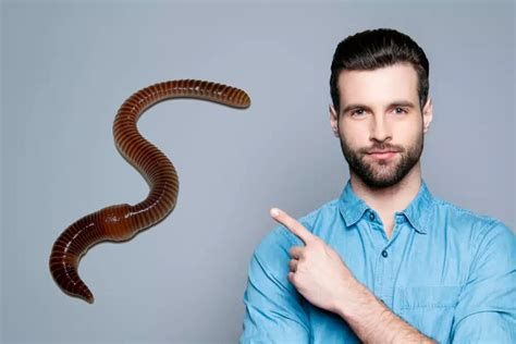 تفسير الدود في الحلم للبنت العزباء الغير متزوجه