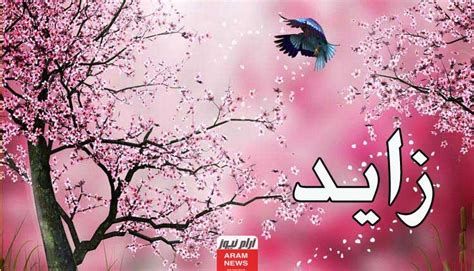 تفسير الحلم باسم زايد