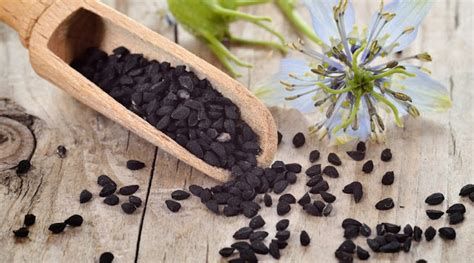 تفسير الحبة السوداء في الحلم رؤيا اكل الحبة السوداء في المنام