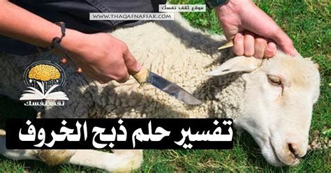 تفسير الخروف في الحلم رؤيا الخرفان في المنام
