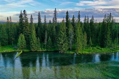 تفسير الجزيرة في الحلم معنى جزيره في المنام