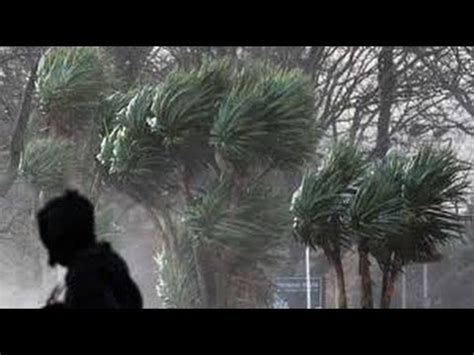 تفسير الريح في الحلم للامام الصادق رؤيا الريح في المنام