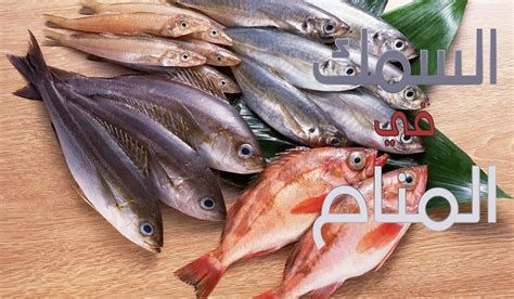 تفسير السمك في الحلم و اكل السمك في المنام لابن سيرين