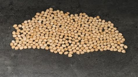 تفسير الحمص في الحلم رؤية الحمص في المنام