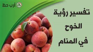 تفسير الخوخ في الحلم معنى رؤيا الخوخ في المنام