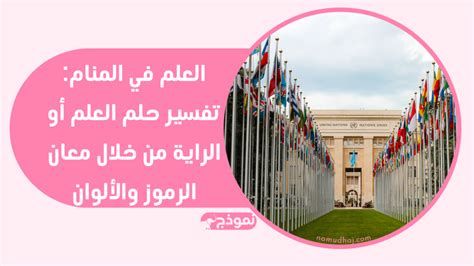 تفسير الرايه في الحلم و رؤية امساك او رفع الرايه في المنام