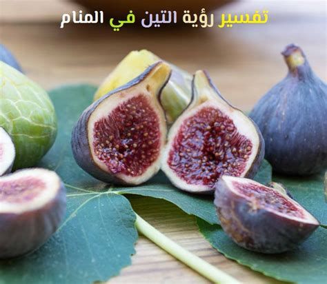 تفسير التين في الحلم رؤية التين في المنام