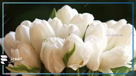 تفسير الحزن في المنام رؤيا الحزن في الحلم