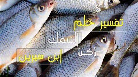 تفسير السمك في الحلم و اكل السمك في المنام لابن سيرين